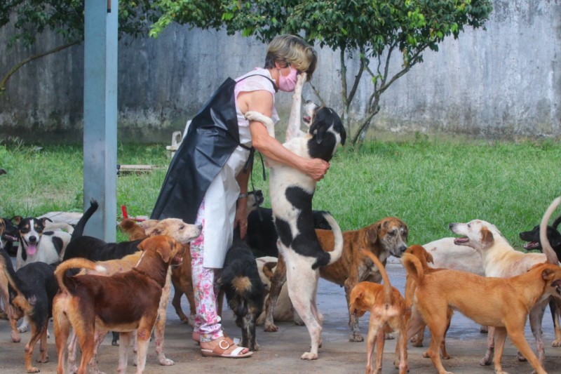 ração para protetores e cuidadores de animais