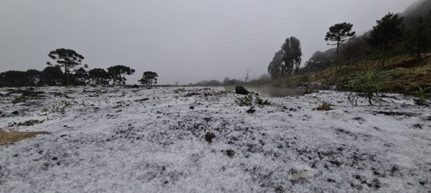  Neve no Vale do Cruzeiro em São Joaquim. Fotos: Mycchel Legnaghi Até às 11h desta segunda-feira, 28, pelo menos três cidades de Santa Catarina registaram neve: São Joaquim, Urupema e Água Doce. A Epagri/Ciram também registrou chuva congelada em Bom Jardi