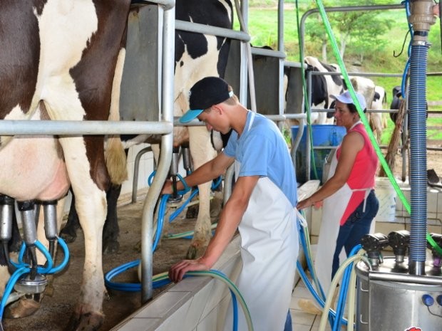 Foto: Aires Mariga / Epagri Em julho os produtores catarinenses de leite estão recebendo preços superiores aos recebidos em junho. Essa tendencia de alta já havia sido sinalizada na última reunião do Conseleite de Santa Catarina, realizada no dia 25 de ju