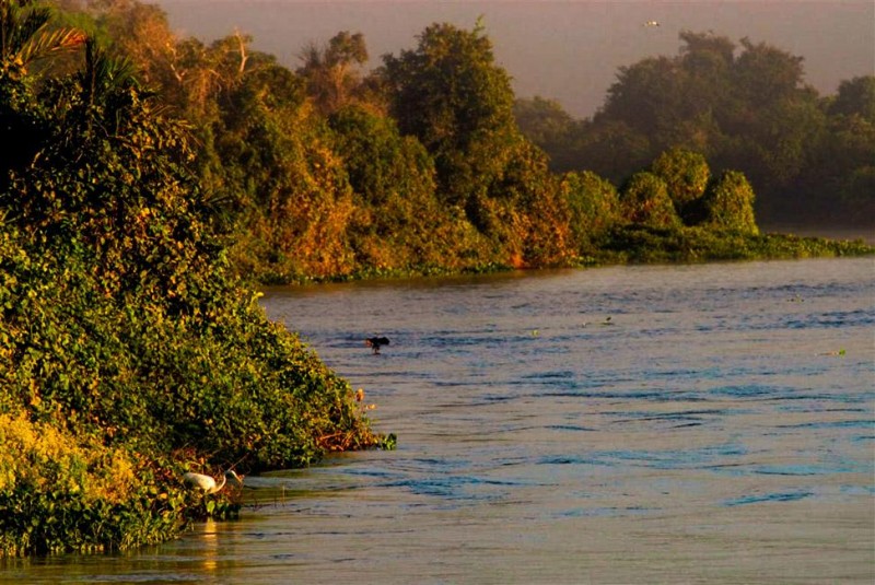 Pantanal - Foto por: Marcos Vergueiro