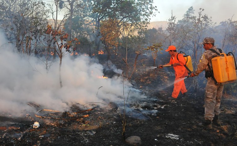 Ação de brigadistas no combate às queimadas ilegais - Foto: Fernando Alves/Governo do Tocantins