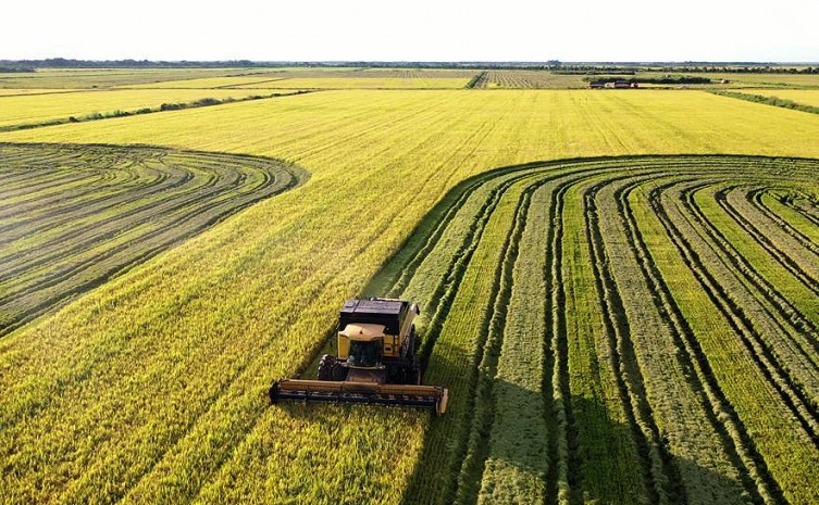 Agronegócio tocantinense está consolidado no cenário nacional - Foto: Alfredo Júnior
