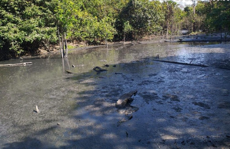 Fiscalização de rio de Sorriso - Foto por: Assessoria