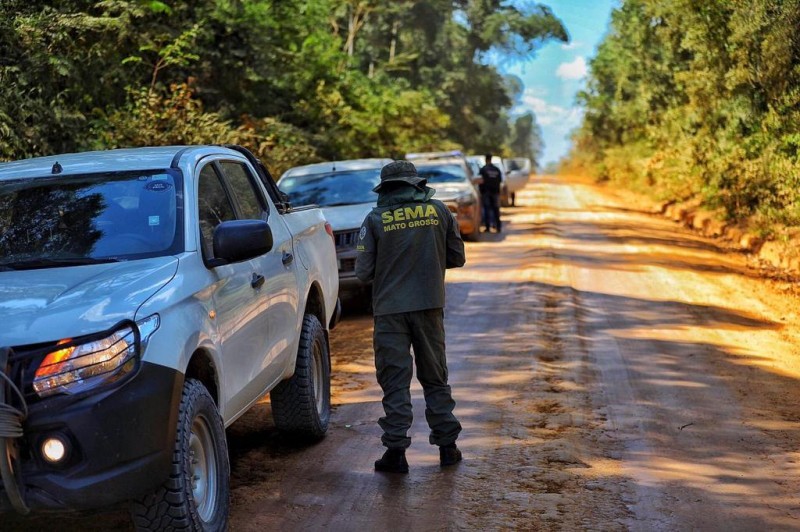 Operação Amazônia interrompe extração ilegal - Foto por: Christiano Antonucci/Secom-MT