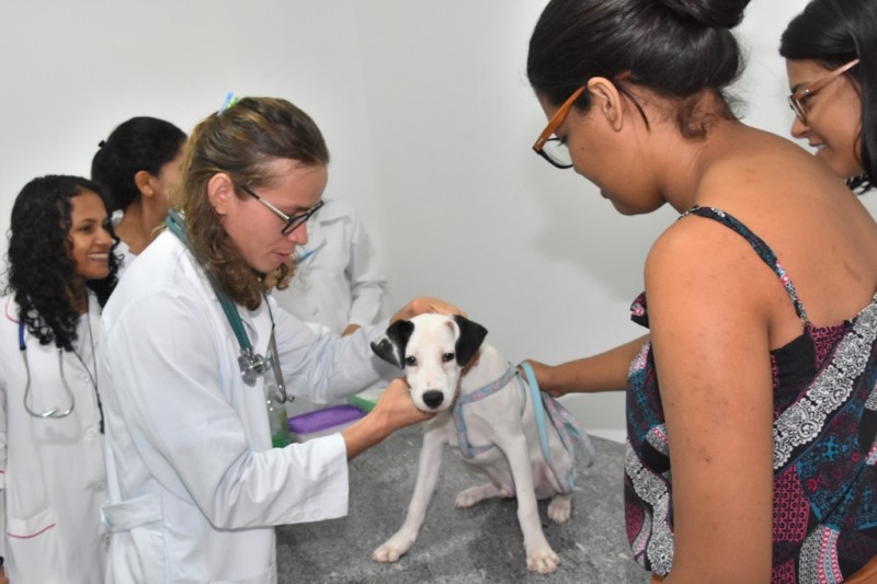 <em>Ação garante atendimento a cães e gatos mediante cadastro antecipado e aplicação de vacina antirrábica independente de agendamento (Foto: Divulgação)</em>