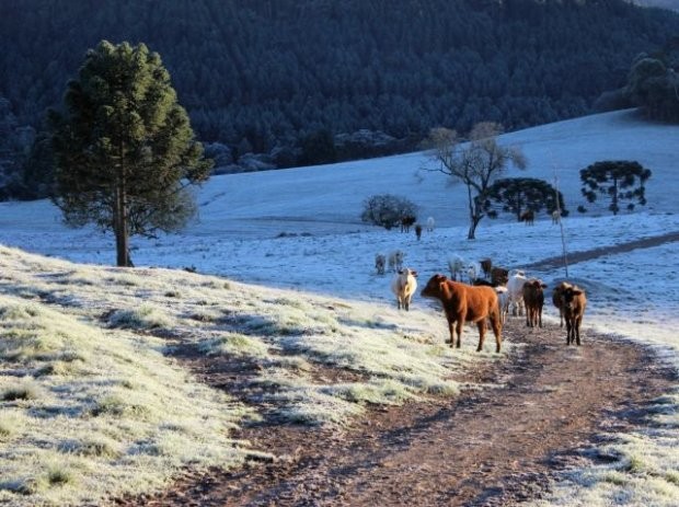 Foto: Divulgação/Arquivo/Epagri Os últimos três dias - 19 a 21 de julho -  registraram quebra de recorde de temperatura mínima do ar na maioria das regiões de Santa Catarina,