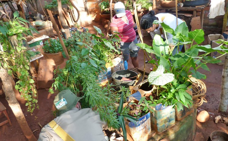 Aumento de casos de doenças transmitidas pelo Aedes liga alerta na Saúde - Foto: SES/Governo do Tocantins