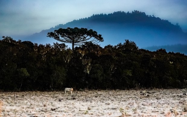 Foto: Ricardo Wolffenbüttel / Arquivo/ Secom