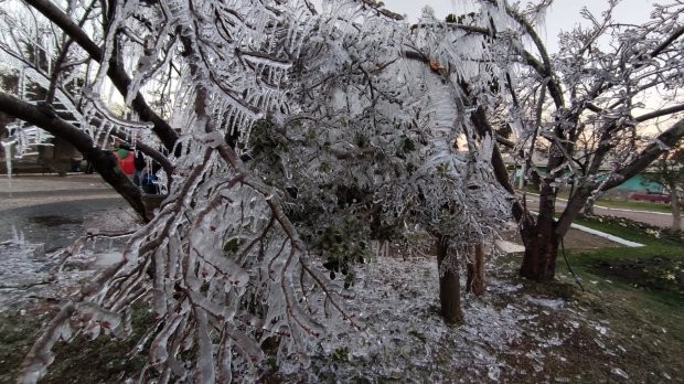 Foto: Divulgação/Prefeitura de São Joaquim A quinta-feira, 29, deverá ser mais um dia gelado em Santa Catarina. De acordo com o serviço de meteorologia da Epagri/Ciram, o amanhecer terá temperaturas variando entre 0 e 5°C em boa parte das regiões, sendo q