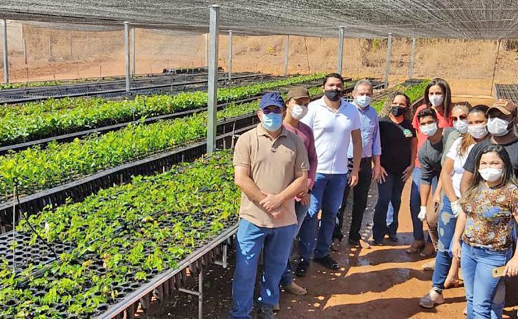 O viveiro de mudas nativas do bioma Cerrado localizado no município de Gurupi recebeu nessa quinta-feira, 29, a visita técnica do auditor do Banco Mundial - Foto: Arquivo Pessoal