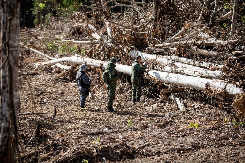 Operação Amazônia fiscaliza municípios que mais desmatam em Mato Grosso - Foto por: Christiano Antonucci