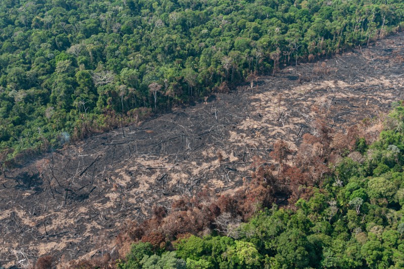 A destruição do meio ambiente afeta diretamente a saúde de todos os seres vivos e é causa de pandemias, lembra o senador Flávio Arns (Podemos-PR), autor da proposta - Vinícius Mendonça/Ibama