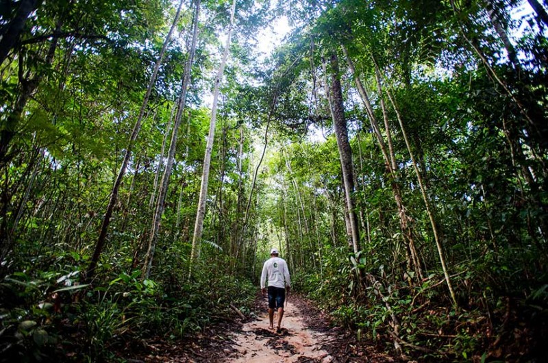 Também devem ser discutidas as Contribuições Nacionalmente Determinadas (NDCs, na sigla em inglês) e propostas que o Brasil possa apresentar durante a COP26 - Marcelo Camargo/Agência Brasil
