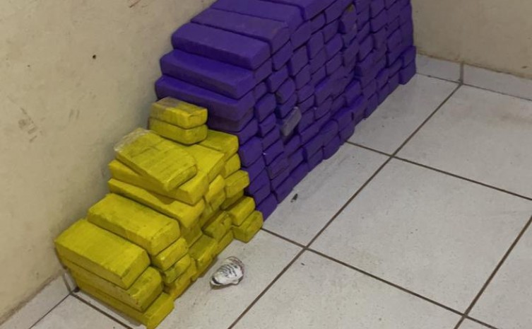 Delegado José Anchieta, reforça o comprometimento da Polícia Civil do Tocantins para que a sociedade fique livre de substâncias entorpecentes que causam mal às pessoas, sobretudo aos jovens - Foto: SSP/Governo do Tocantins