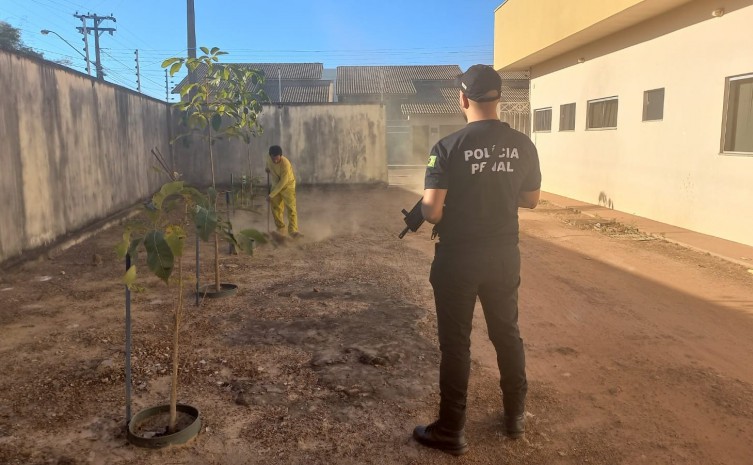 O trabalho fortalece a reinserção social do preso, além de remir a pena - Foto: Seciju/Governo do Tocantins