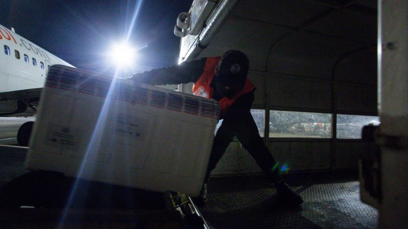 Dos 169.120 imunizantes recebidos na sexta (13/8), parte será distribuída na segunda (16), destinada para a primeira dose - Foto: Felipe Dalla Valle / Palácio Piratini