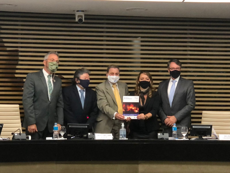 Lançamento do Guia de Requisitos e Procedimentos Básicos para Combate a Incêndios Florestais - Foto por: Divulgação