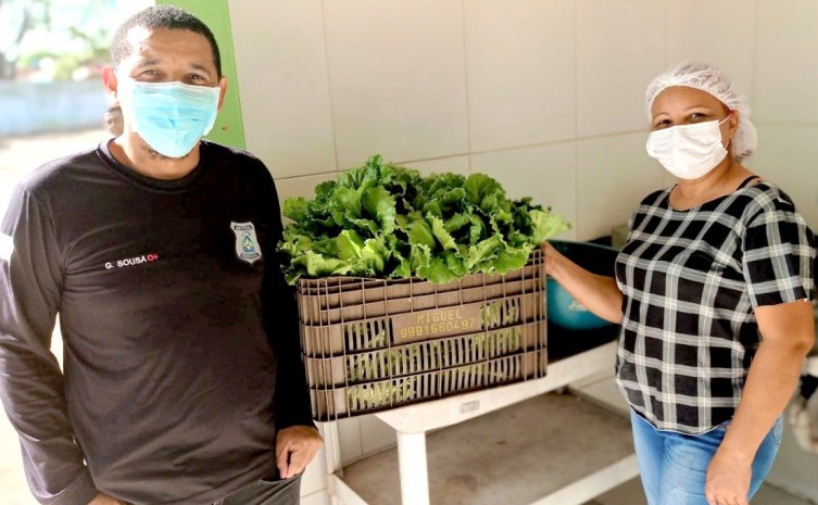 Hortaliças excedentes são sempre doadas para órgãos, entidades e pessoas em situação de vulnerabilidade - Foto: Seciju/Governo do Tocantins