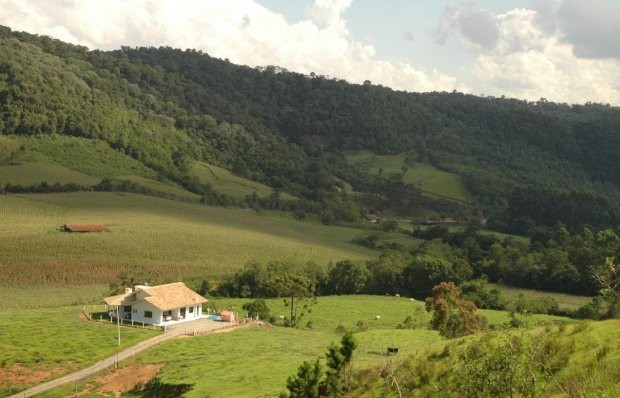 Foto: Aires Mariga / Epagri 