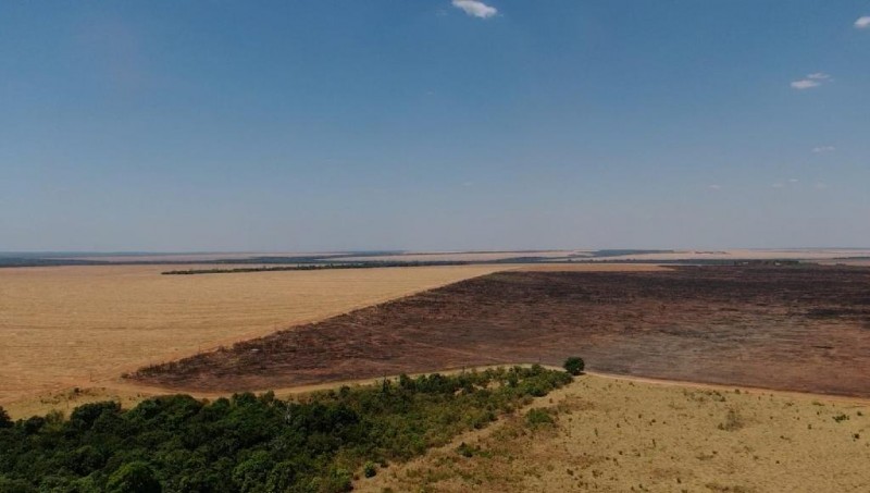A degradação total da área foi 3.752, 57 hectares. - Foto por: Assessoria| CBM-MT