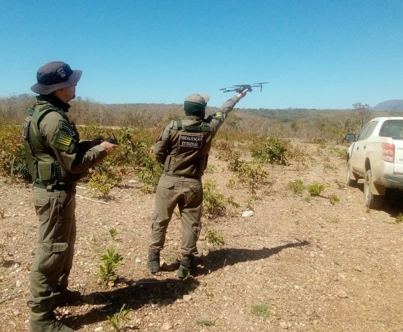 Foto: Reprodução/Secom Goiás