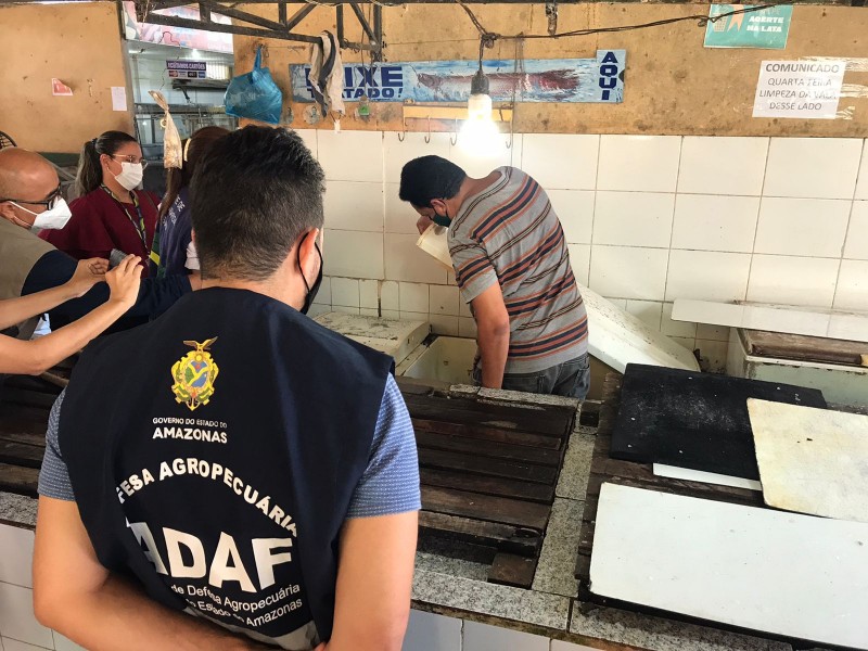 Amostras de água e pescado para análise