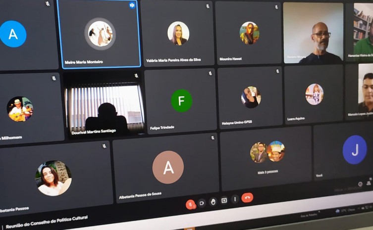 Reunião virtual contou com a participação dos representantes das câmaras setoriais e do poder público - Foto: Adetuc/Governo do Tocantins