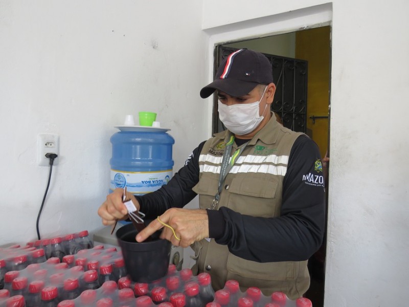 Amazonas segue com vigilância entomológica