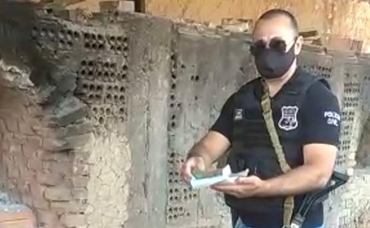 Drogas são destruídas pela Polícia Civil em Colmeia - Foto: SSP/Governo do Tocantins