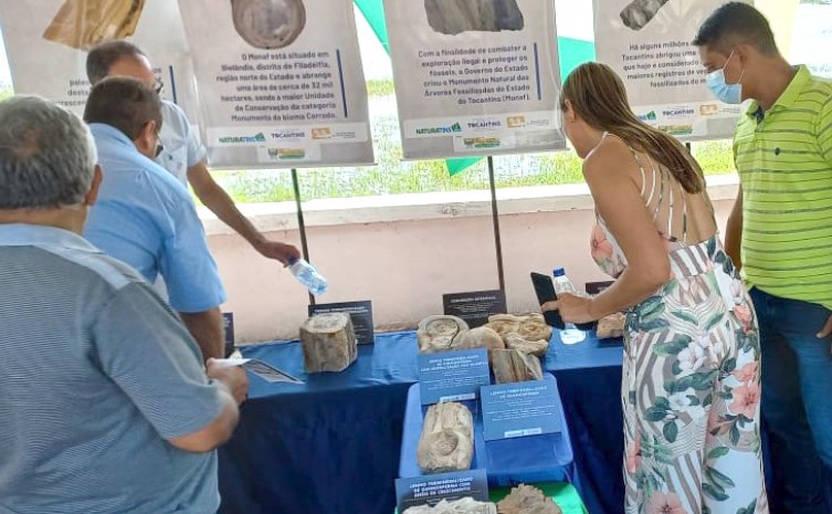 Visitantes no estande de exposição de fósseis vegetais do Monaf no aniversário de Filadélfia - Foto: Naturatins/Governo do Tocantins