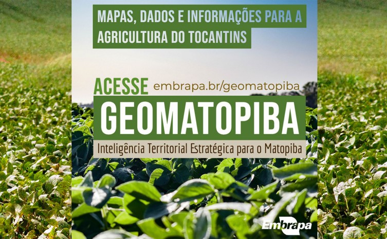 O curso é direcionado aos técnicos de Assistência Técnica de Extensão Rural do Ruraltins - Foto: Divulgação