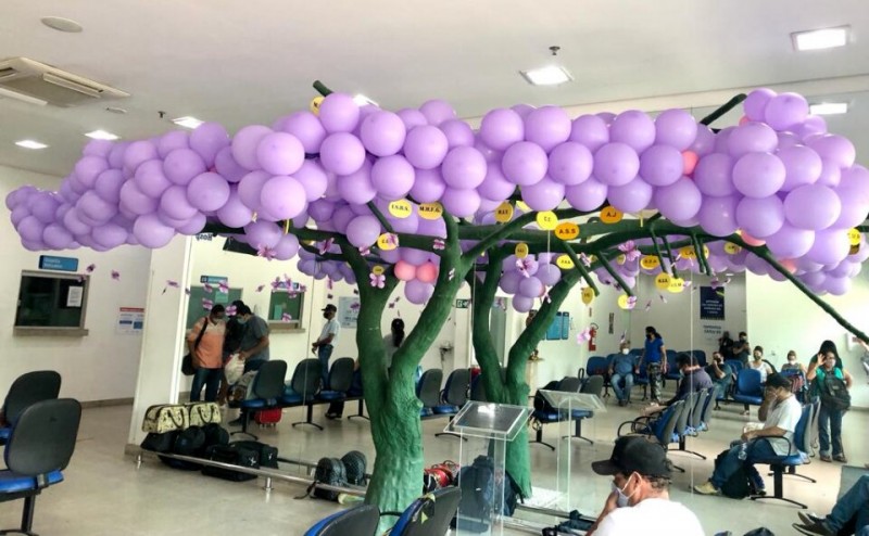 Foto: Reprodução/Secom Goiás