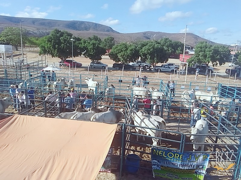 ABCZ / Divulgação