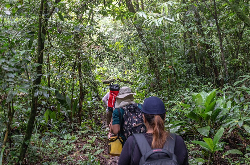 A audiência pública será sobre o tema “Ecoturismo como eixo para o desenvolvimento sustentável” - Raphael Campos/Prefeitura de Bertioga