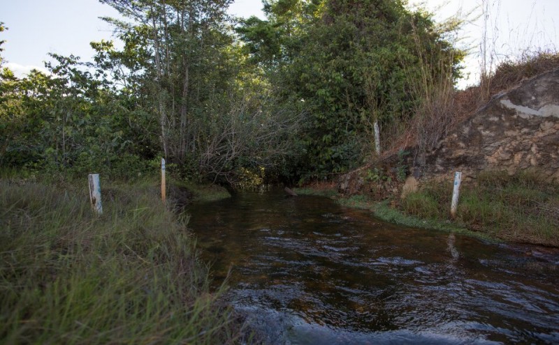 Foto: Reprodução/Secom Goiás