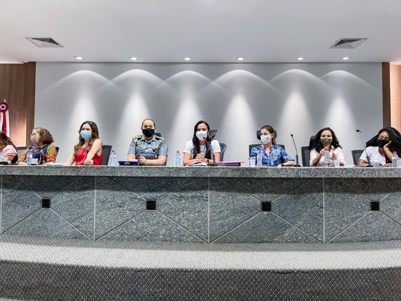  Encontro Regional de Gestoras de Políticas para Mulheres, realizado em São Luís nesta quinta-feira (4). (Foto: Divulgação)