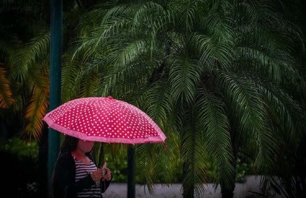 Foto: Ricardo Wolffenbüttel / Secom  