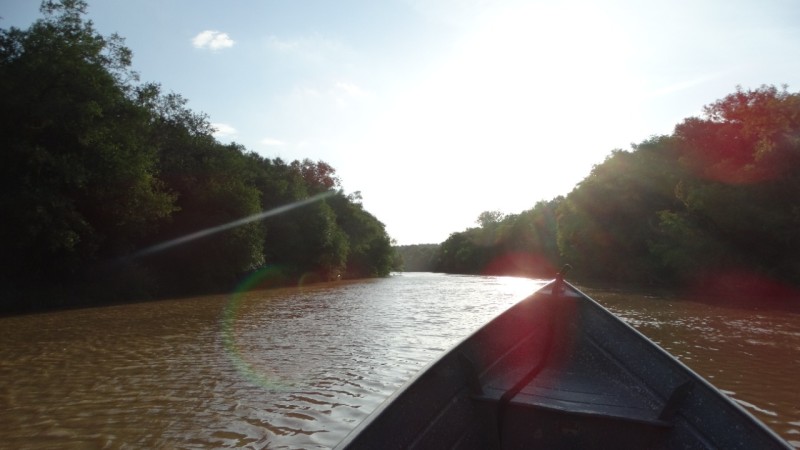 Rio Canoinhas, no Planalto Norte - Foto: Fernanda Haiduk/Comitê de Gerenciamento da Bacia Hidrográfica