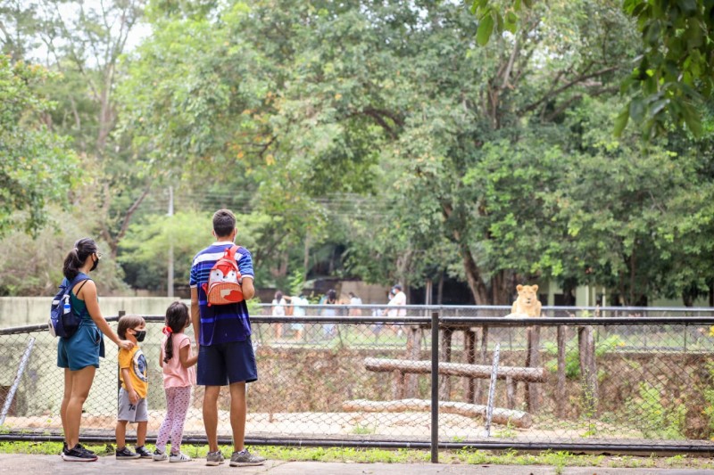 Foto: Reprodução/Secom Piauí