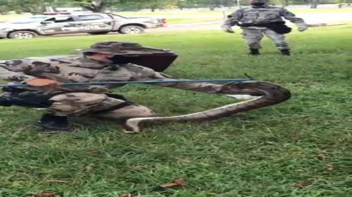 Foto: Reprodução