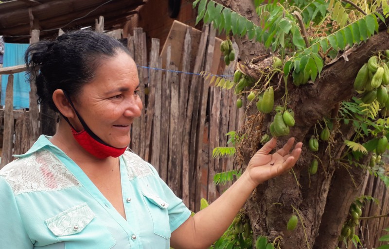A moradora Maria Lopes da Silva vive há 25 anos no assentamento trabalhando com agricultura. (Foto: Divulgação)