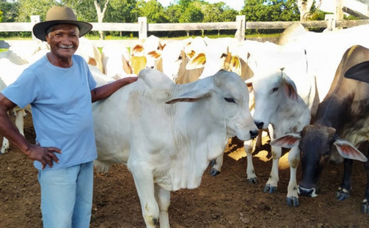Curso de bovinocultura de corte capacita técnicos para atendimento aos produtores rurais do Estado - Foto: Divulgação