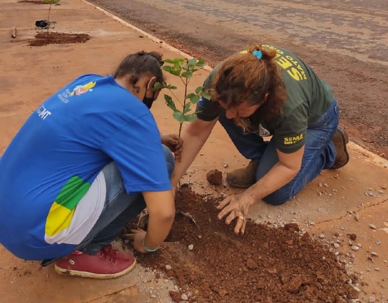 Projeto Águas Claras em Juscimeira promove plantio de mudas - Foto por: Comitê de Bacia Hidrográfica do Rio São Lourenço