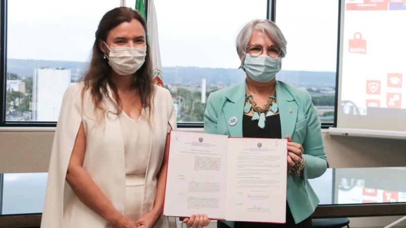 Foto: Reprodução/Secom DF