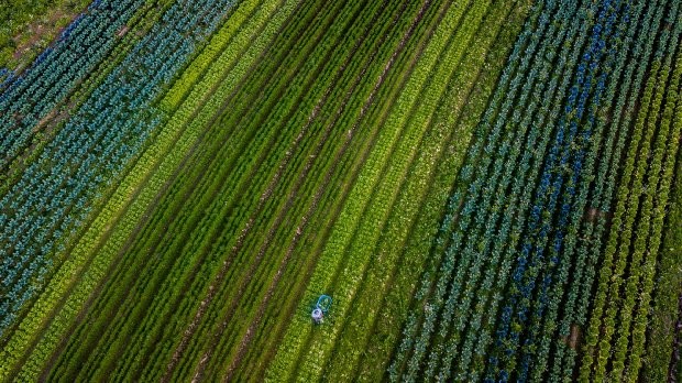 Foto: Ricardo Wolffenbüttel / Secom 