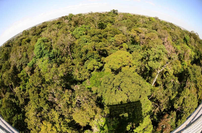 Foto: Reprodução/Secom Amazonas