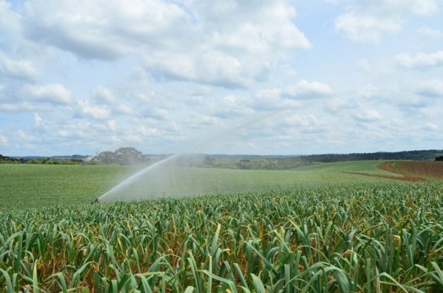  Foto: Ascom/Epagri
