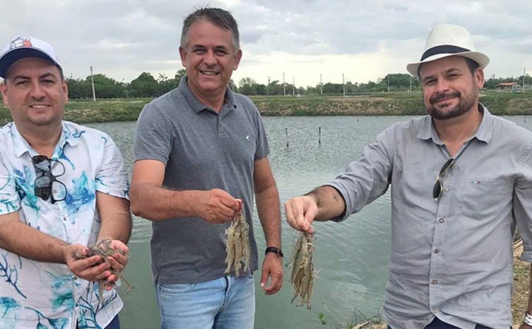 Carcinicultura é um ramo específico da aquicultura voltado para a criação de camarão em cativeiro, tanto na forma de cultivo marinho ou de água doce - Foto: Agricultura/Governo do Tocantins