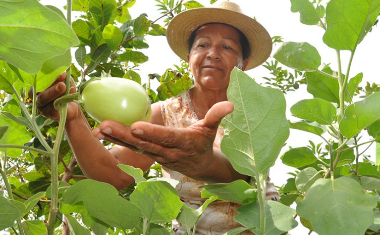 Inscrições para o Prêmio Mulheres Rurais foram prorrogadas até dia 31 de janeiro - Foto: Agricultura/Governo do Tocantins