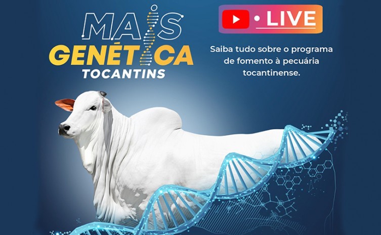 Programa Mais Genética Tocantins vai contemplar pequenos e médios produtores do Estado com 100 mil kit’s para procedimentos de inseminação - Foto: Agricultura/Governo do Tocantins